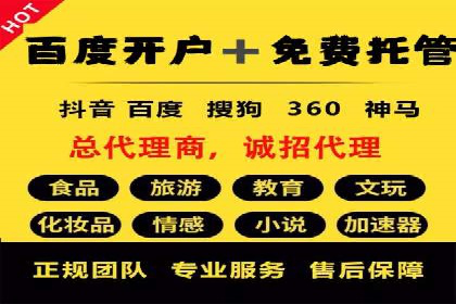 某公司SEM推广的失败教训与成功经验